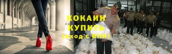 стаф Дмитриев