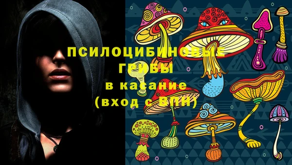 ALPHA PVP Дмитров
