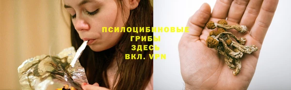 прущий лед Дмитровск