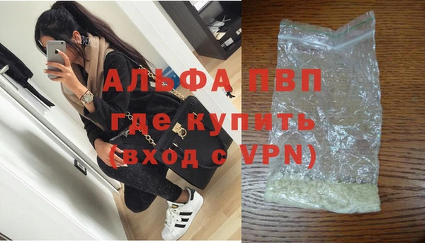 стаф Дмитриев