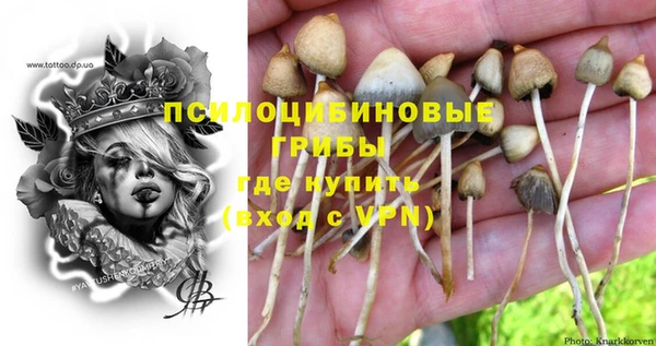 ALPHA PVP Дмитров