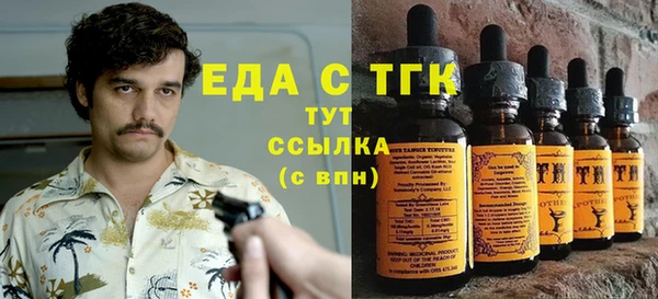 стаф Дмитриев