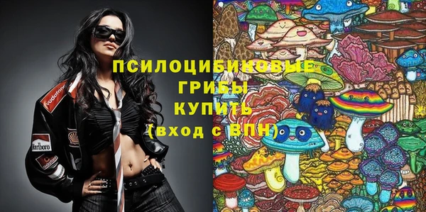 стаф Дмитриев