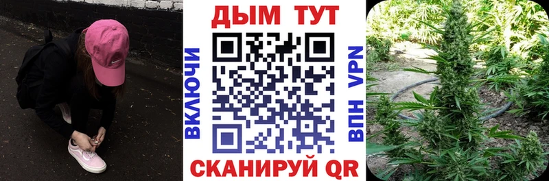 Купить закладки  Реж  Шишки марихуана Ganja 